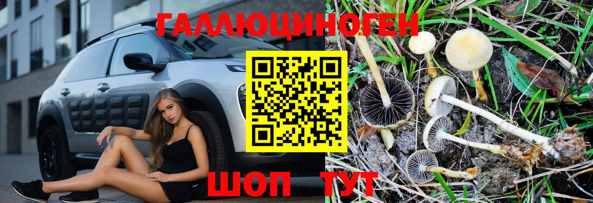 где купить наркоту  Вход с VPN  Можга  Галлюциногенные грибы Magic Shrooms 