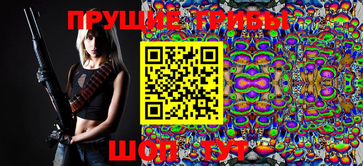 Галлюциногенные грибы Psilocybe Можга